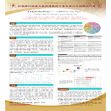 回溯探討延緩失能照護服務方案長者六力功能之評估